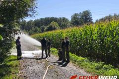 06-09-2025_GT-Uebung-FJ_017